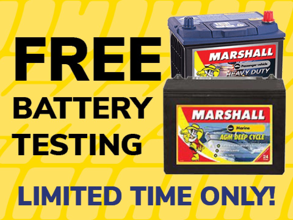 Free Battery Testing